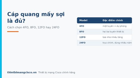 Cáp quang mấy sợi là đủ? Cách chọn 4FO, 8FO, 12FO hay 24FO