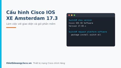Hướng dẫn cấu hình Cisco IOS XE Amsterdam 17.3.x với giao diện người dùng web trên Catalyst 9300