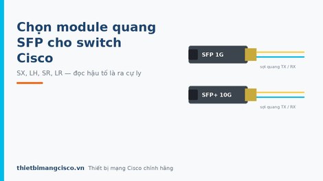 Chọn module quang SFP cho switch Cisco: SX, LH, SR, LR khác nhau thế nào