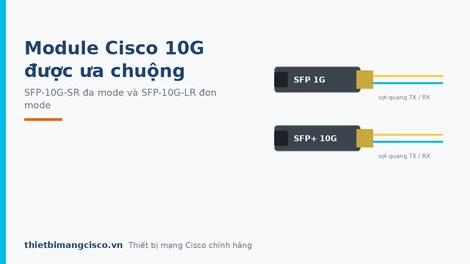 Hai loại module Cisco 10G được ưa chuộng nhất hiện nay