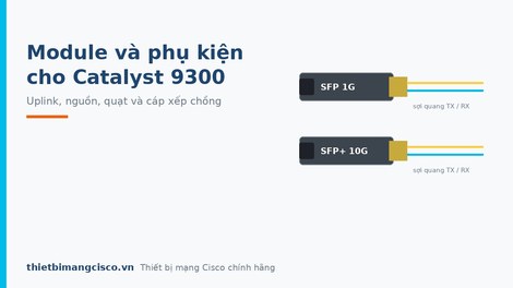 Danh sách tổng hợp các Module và phụ kiện cho Cisco Switch Catalyst