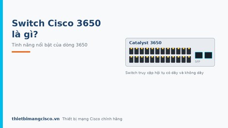 Switch Cisco 3650 là gì? Các tính năng nổi bật của Switch Catalyst 3650