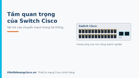 Tầm quan trọng của Switch mạng Cisco hiện nay