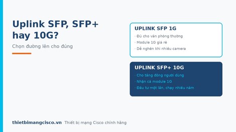 Uplink SFP, SFP+ và 10G: chọn switch có uplink nào cho đúng