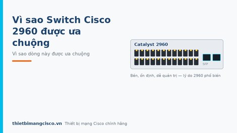 Tại sao Switch Cisco Catalyst 2960 lại được ưa chuộng